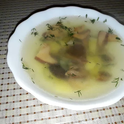 Суп с лесными грибочками