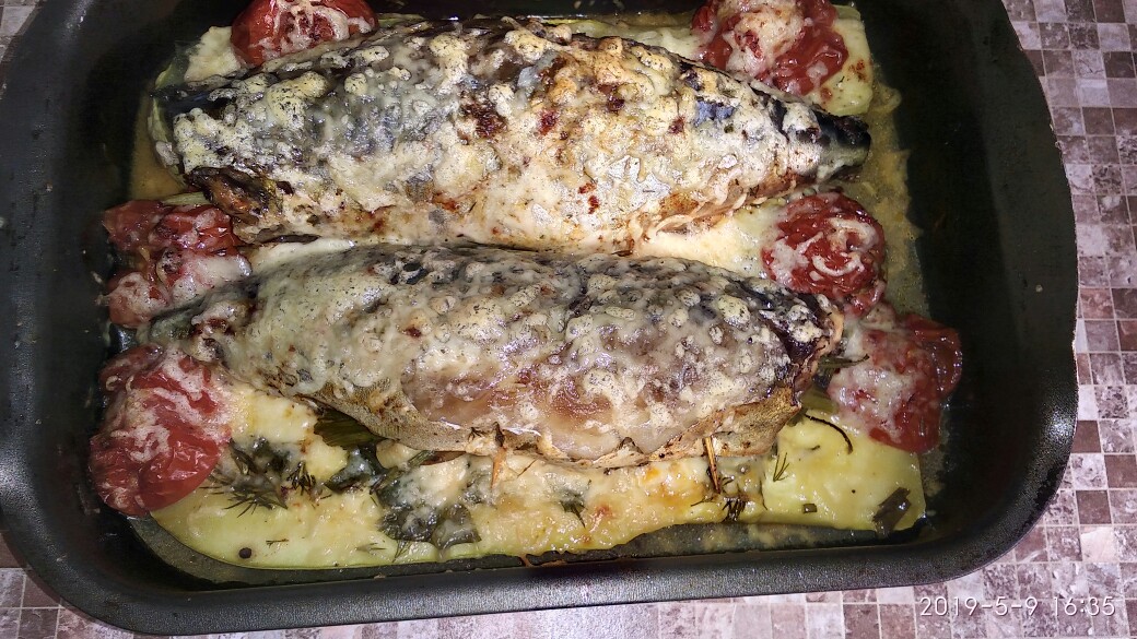 Запечённая скумбрия с кабачком, сыром и томатами