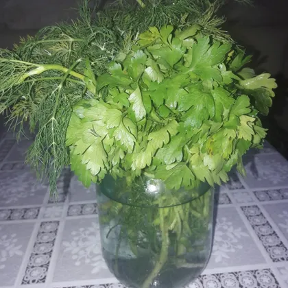 Свежая зелень 🌿☘