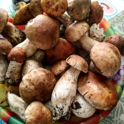Картошка с лесными грибами