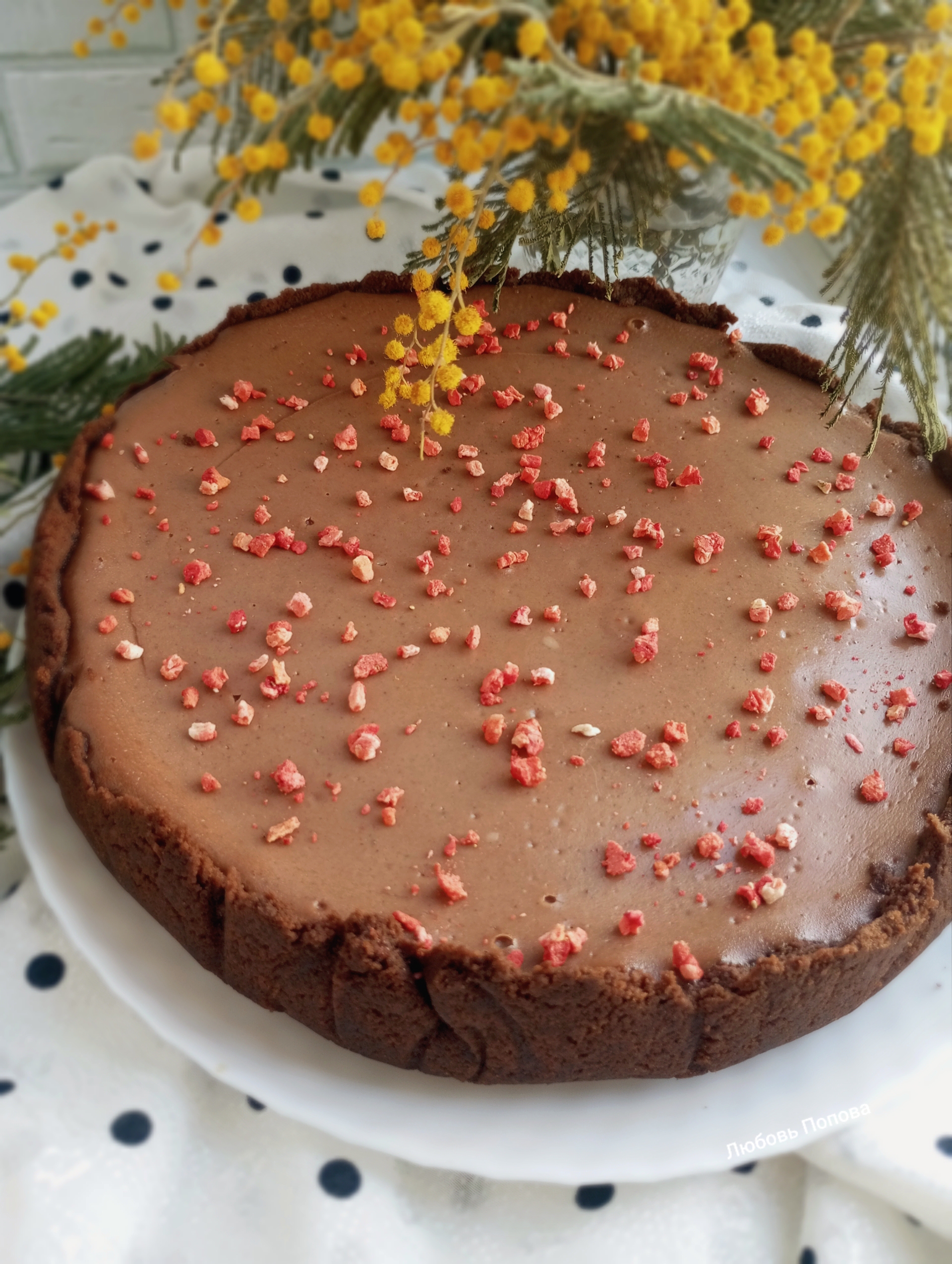 Шоколадный чизкейк 