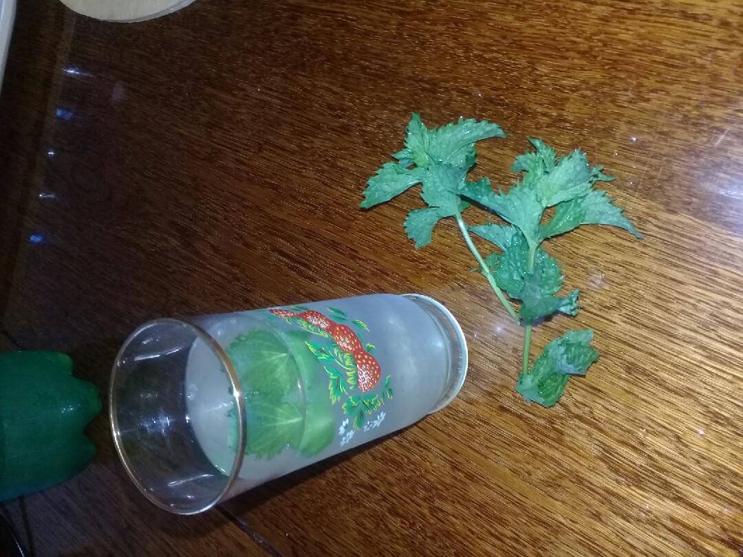 Домашняя махито