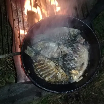 Карасики, да на костре👍