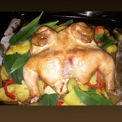 Курица запечённая с овощами