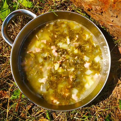 Щавелевый суп на консервированной ветчине