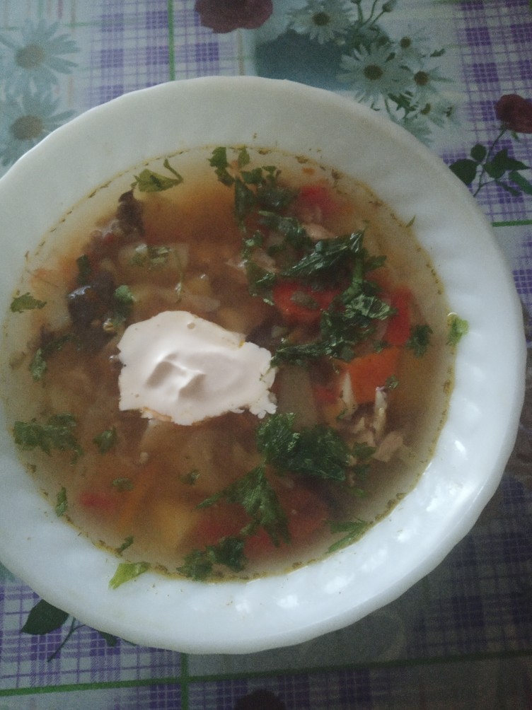 Щи по-летнему