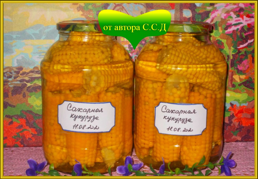 САХАРНАЯ КУКУРУЗА на ЗИМУ