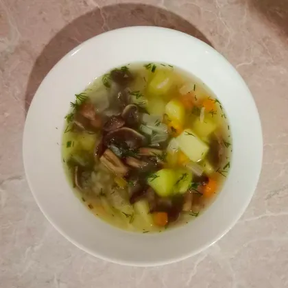 Грибной суп с рисом без мяса