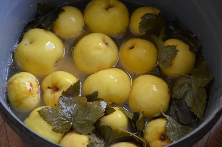 Маринованные яблоки – пошаговый рецепт приготовления с фото