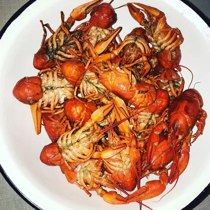 🦞 раки