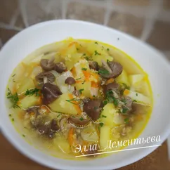 Суп с летними опятами