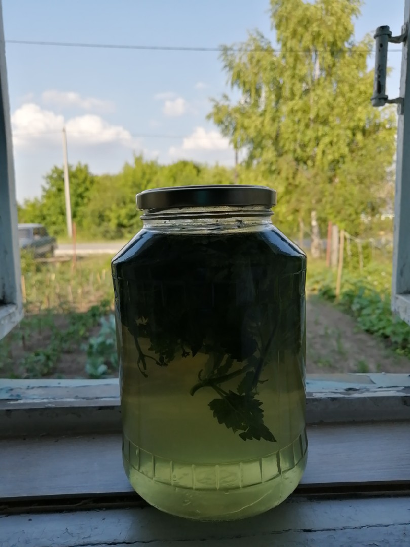 Домашний мохито