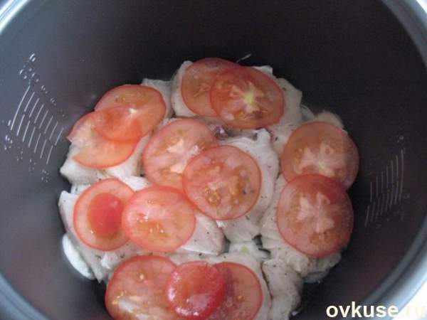 Рыба на луковой подложке (Рanasonic - 18)