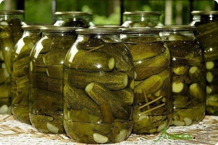 Солёные огурцы в банках под капроновые крышки