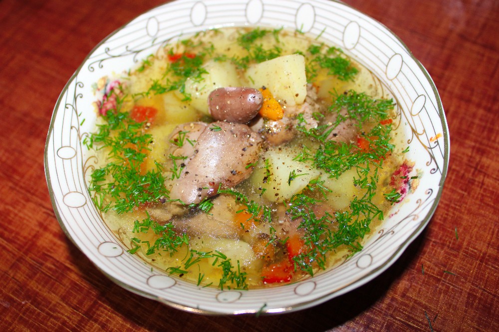 Суп с куриными потрошками и вермишелью — рецепт с фото