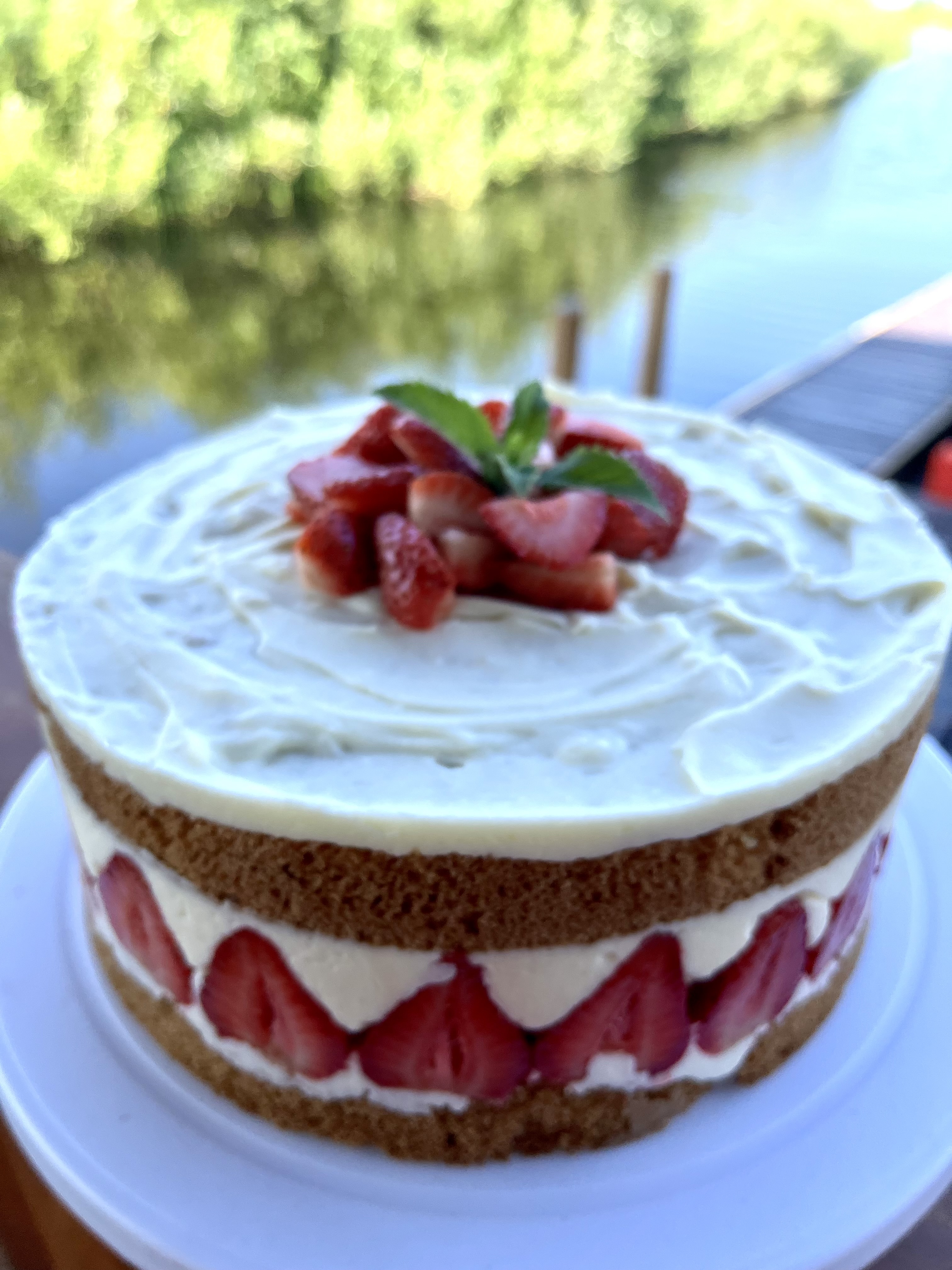 Французский торт "Фрезье"