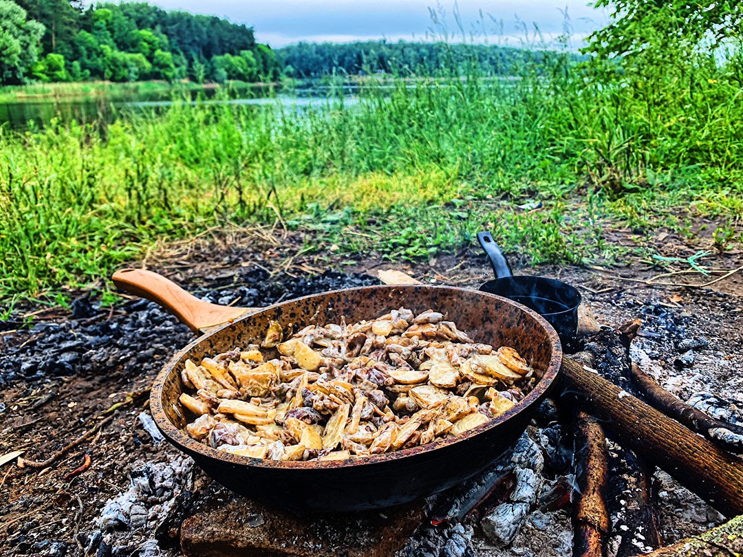Опята с картошкой в сметане