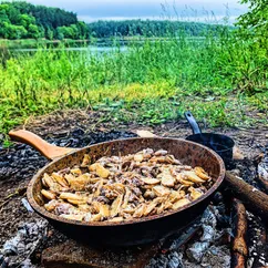 Опята с картошкой в сметане