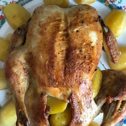 Курица запечённая целиком с картофелем в рукаве в духовке