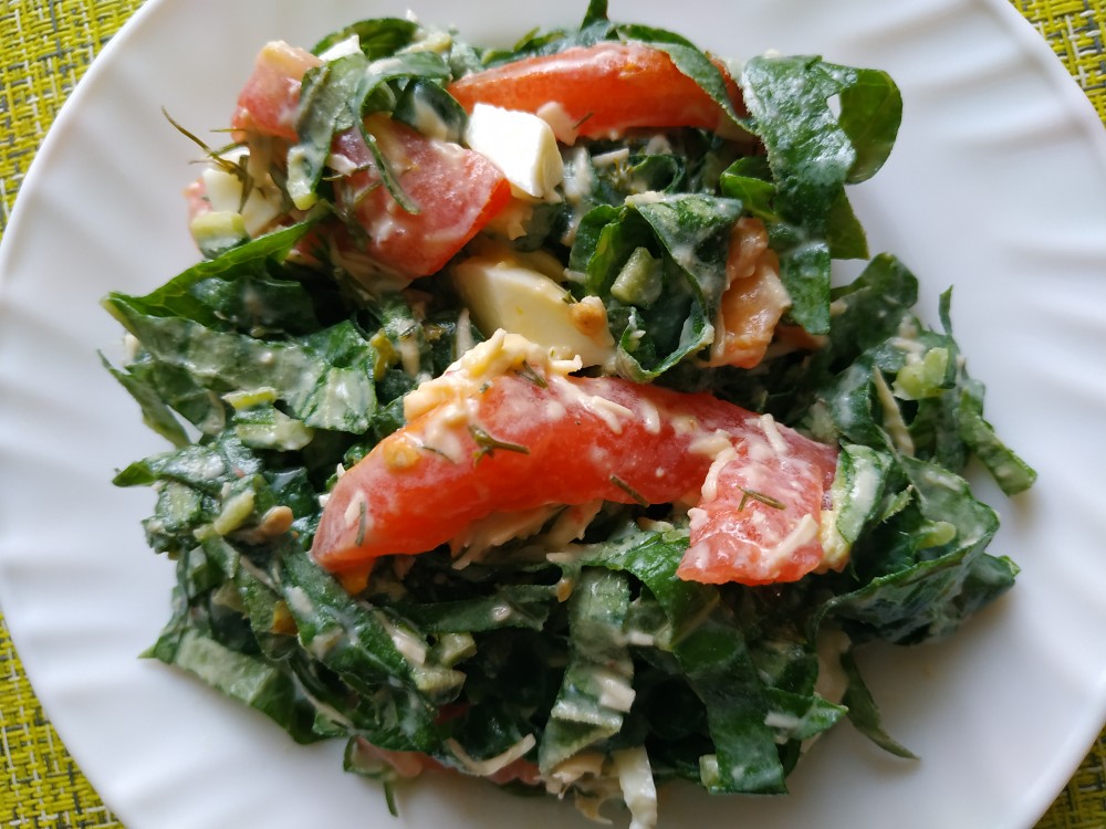 Салат из листьев салата и помидоров – пошаговый рецепт приготовления с фото