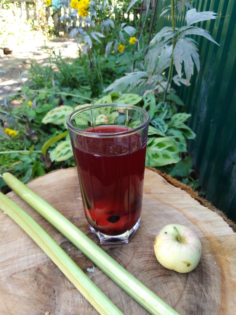 Яблочный компот с ревенем, корицей, черникой и ежевикой