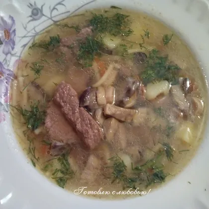 Мясной суп с лесными грибами