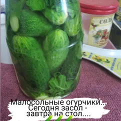 Малосольные огурцы