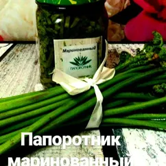 Папоротник маринованный