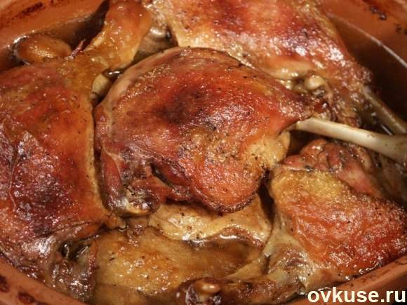 📖 Рецепты основных блюд из дикой утки - как приготовить в домашних условиях - Дикоед