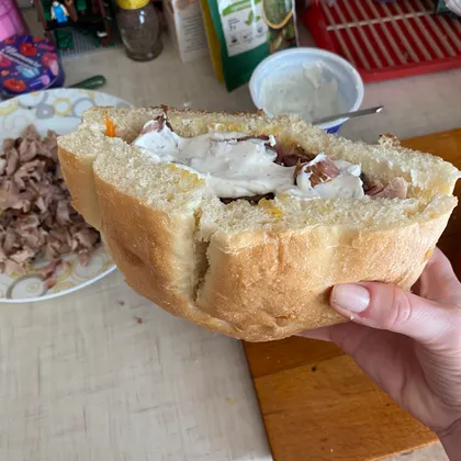 Домашний донар
