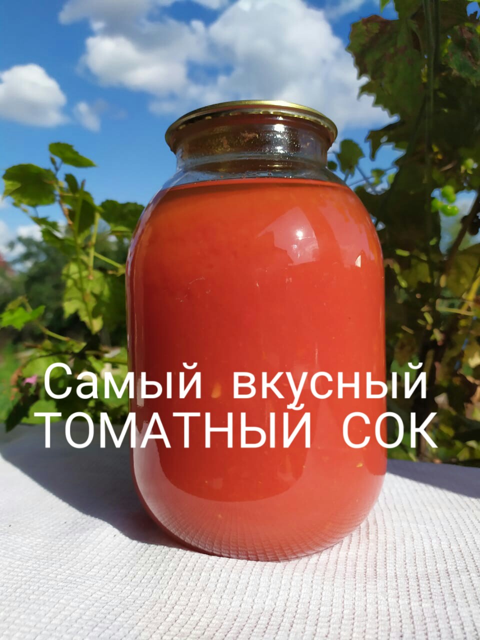 Томатный сок