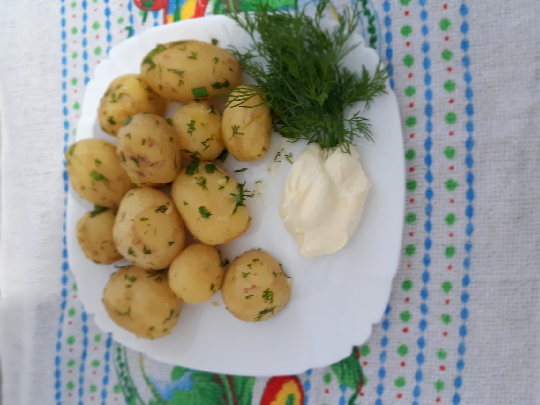 Молодой картофель с зеленью и сметаной