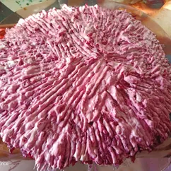 Селёдка под шубой