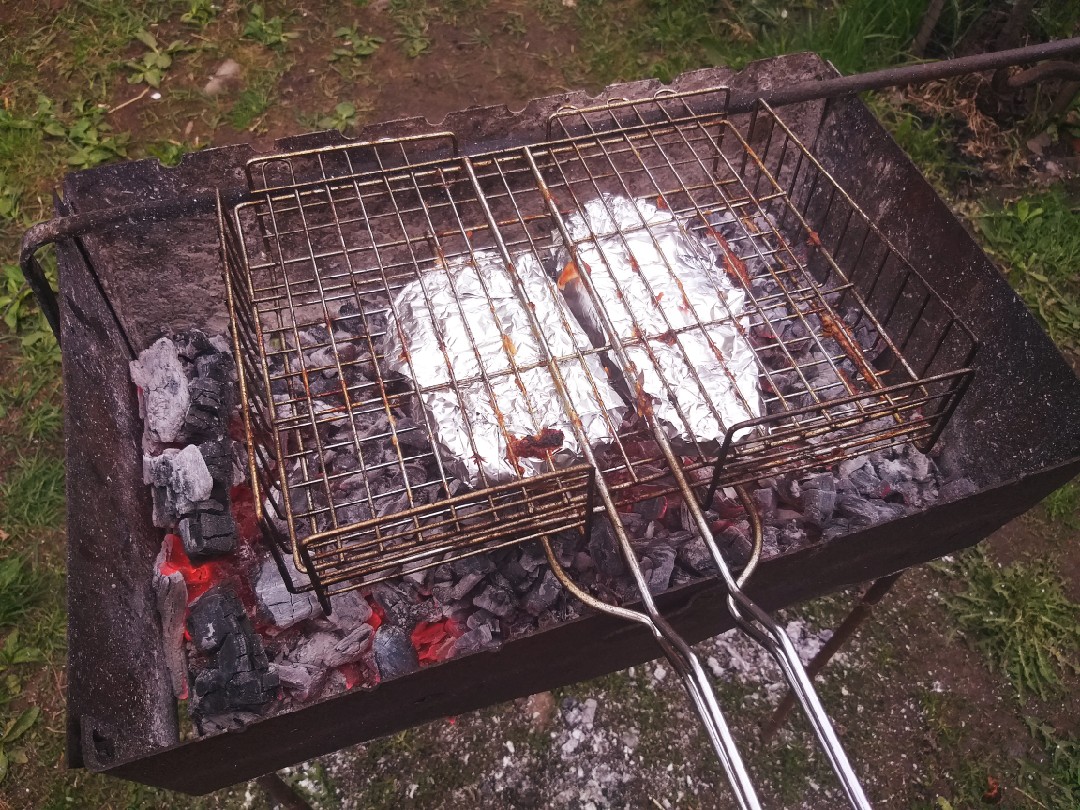 Форель на мангале