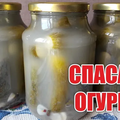 Спасаем огурцы! Что делать, если помутнели огурцы