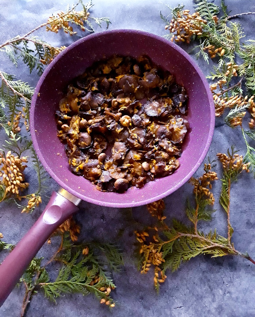 Жареные опята 🍄