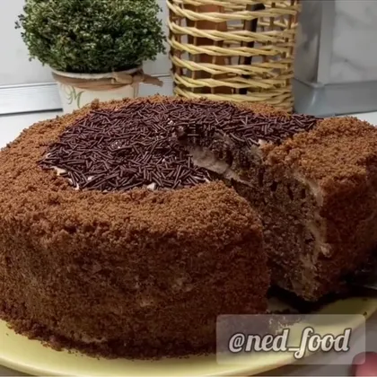 Шоколадный торт без выпечки