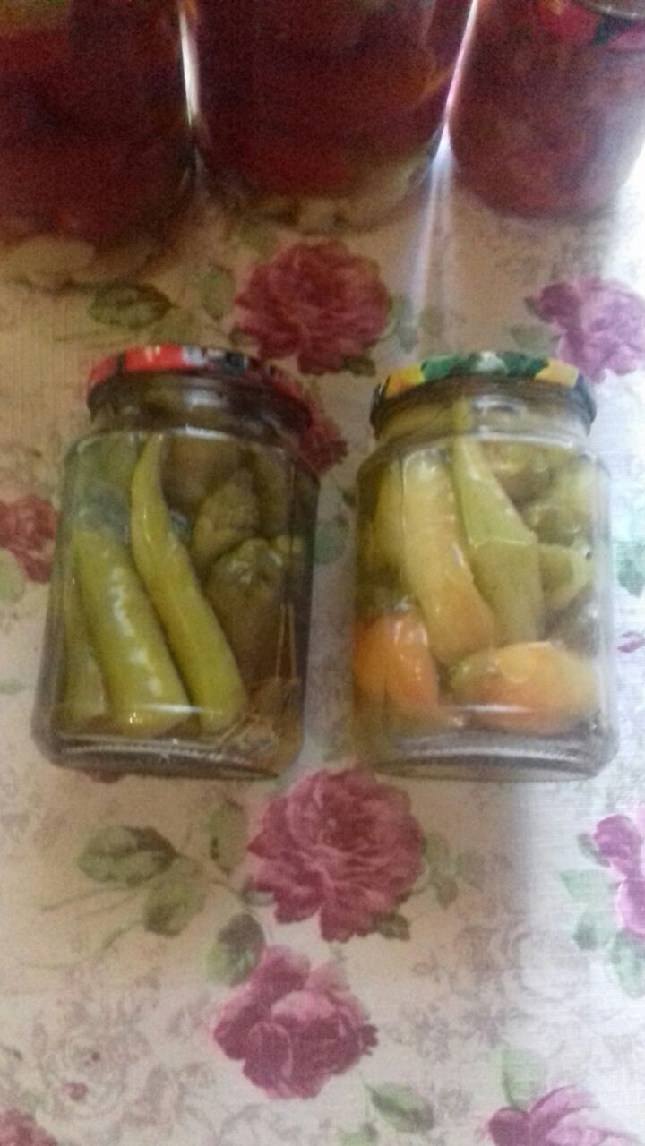 Перец острый и пикантный на зиму