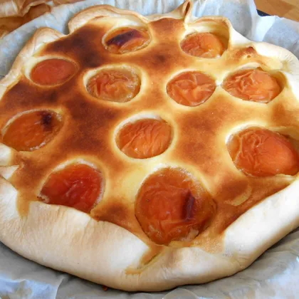 Пирог с творожной начинкой и абрикосами