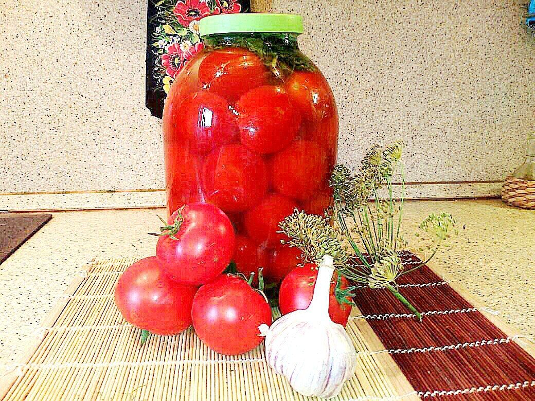 Как солить помидоры – блог интернет-магазина sauna-chelyabinsk.ru
