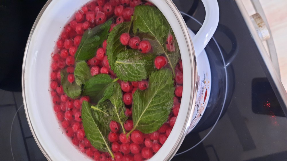 Морс из красной смородины и мяты