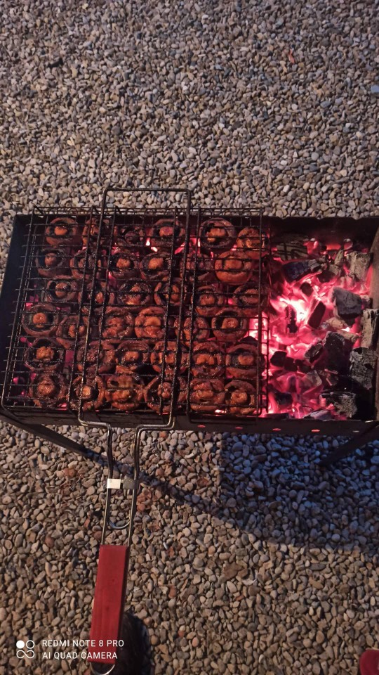 Грибы на мангале🔥