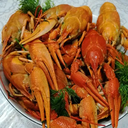 Раки🦞🤤