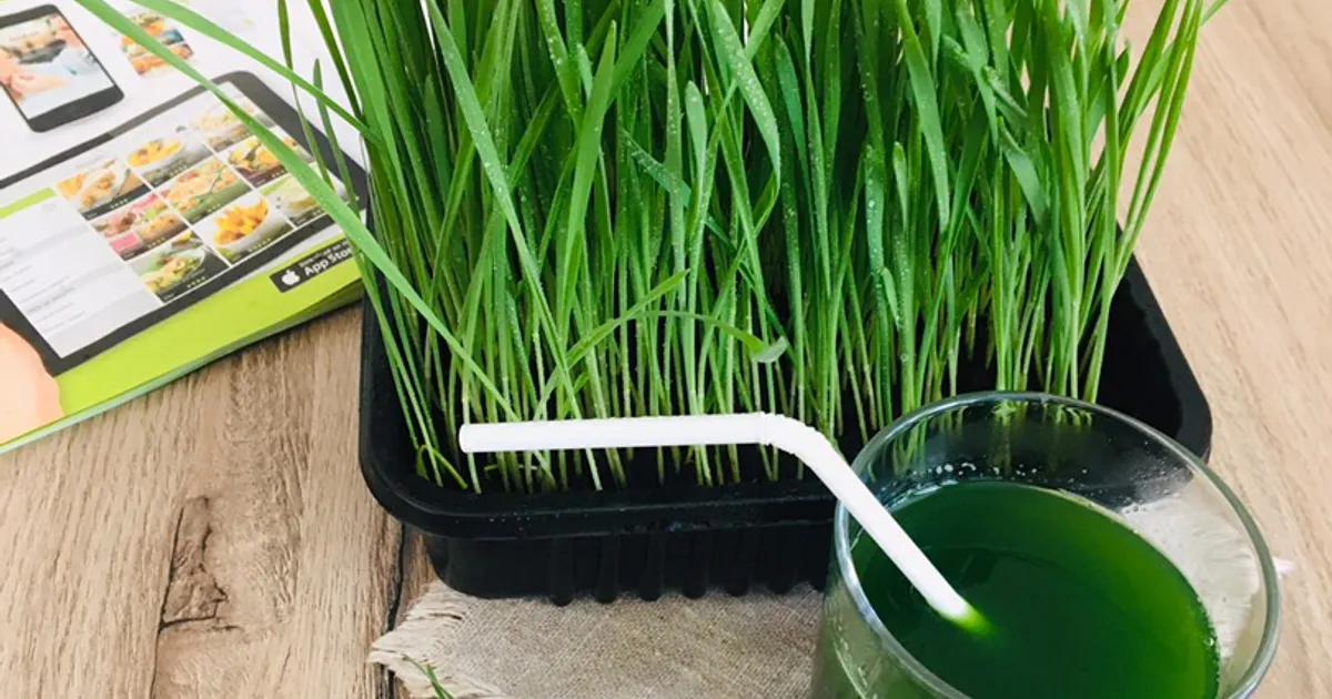Волшебный напиток «Витграсс»🌱 рецепт с фото пошаговый от Любовь ...