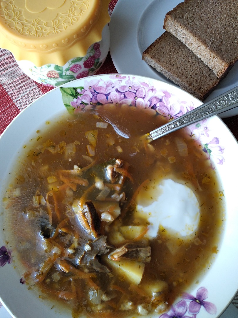 Суп из сушеных лесных грибов