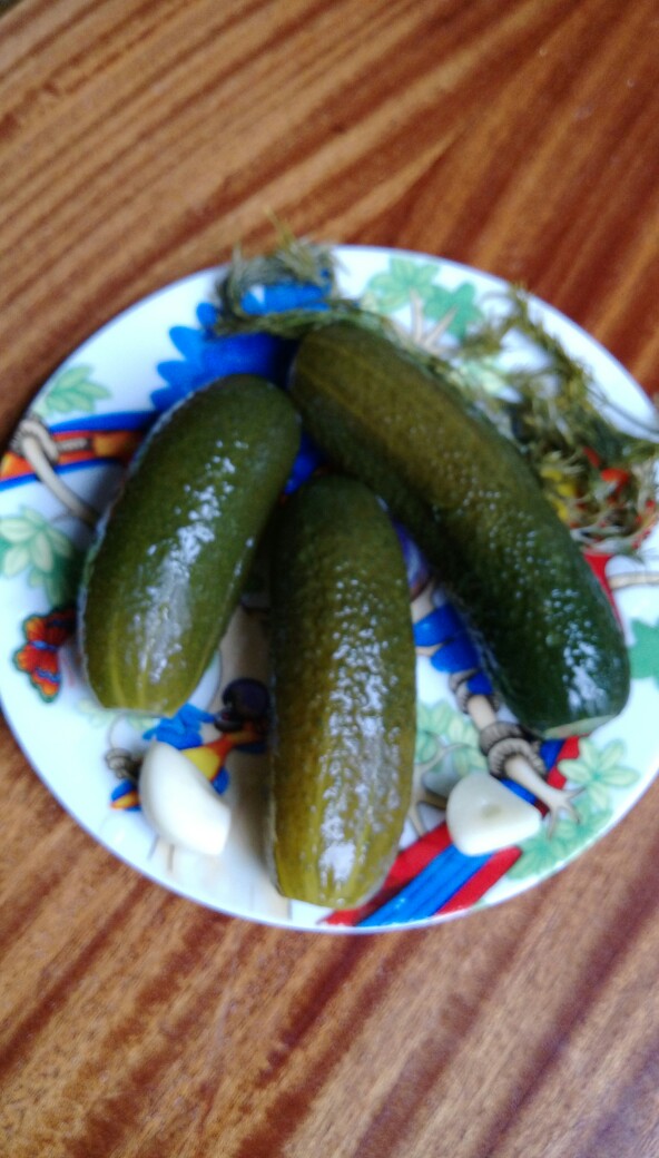 Малосольные огурцы с медом