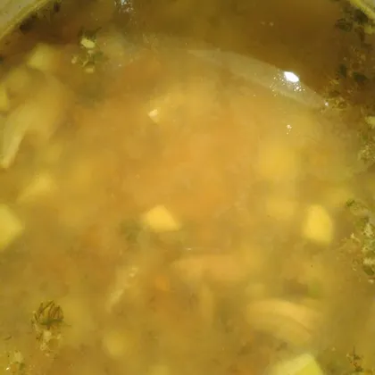 Суп на бульоне из индейки