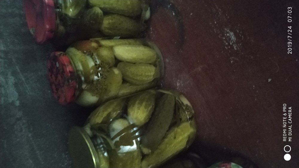 Огурчики Пражские