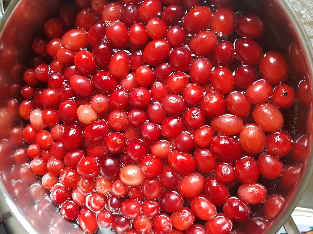 Клюквенный компот