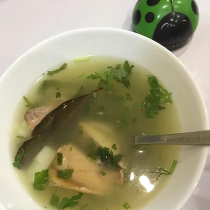 Суп из горбуши